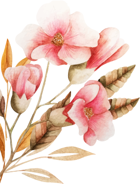 Decorative Shape